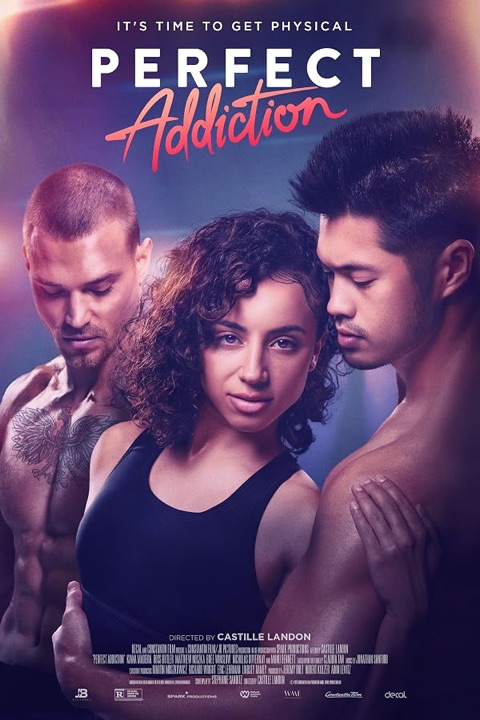 Perfect Addiction poster